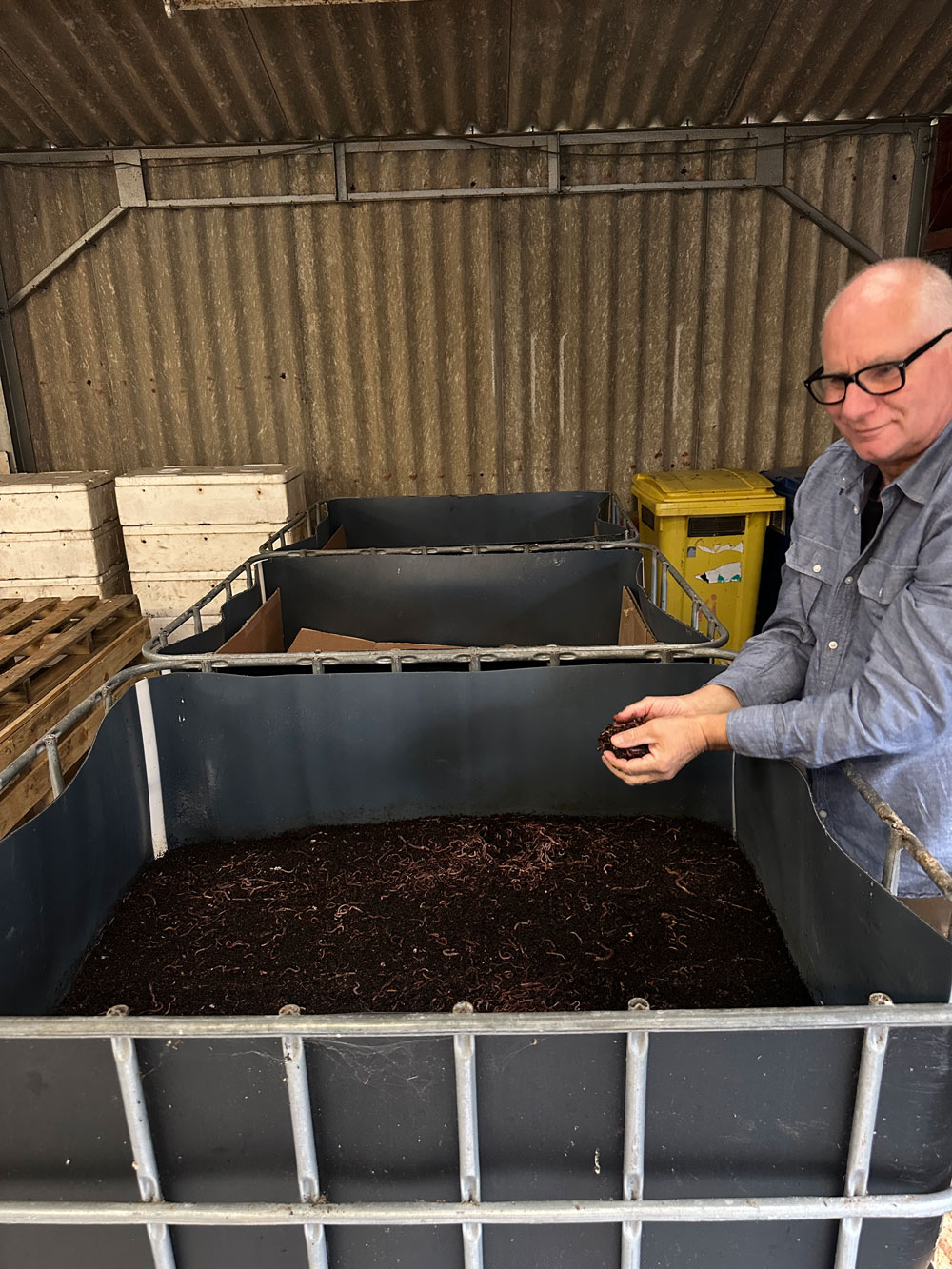 Business Spotlight: Michael McBean